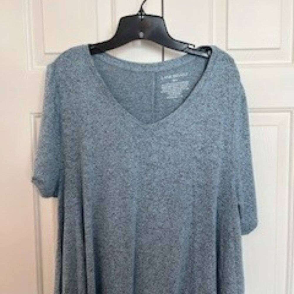 Lane Bryant V-neck Short Sleeve Top